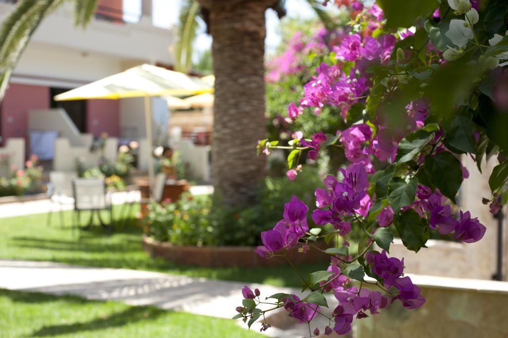 Nikolas Suites Като Дарацо Екстериор снимка